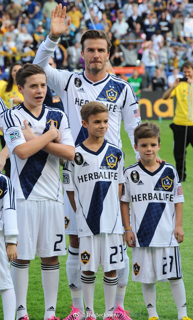 sssdavidbecklam19