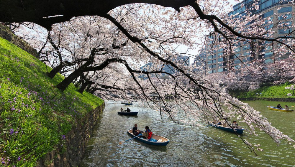 Go Tokyo