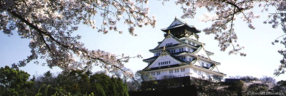Osakacastle