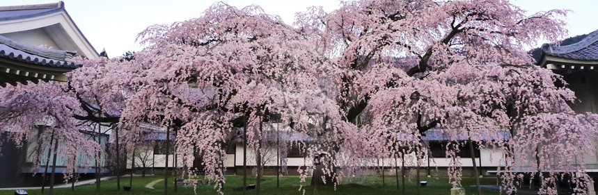 Daigoji