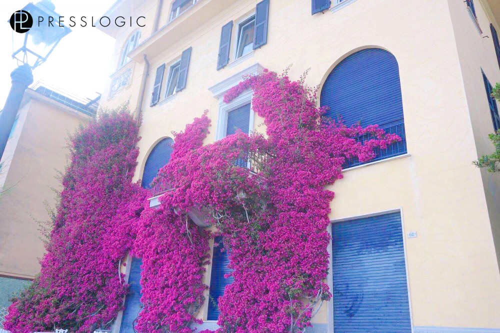 Italy_House